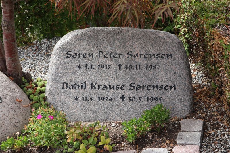 Soeren Peter Soerensen.JPG